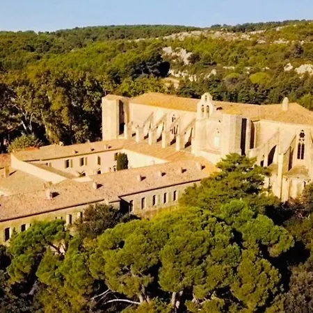 Les Crins De La Renardiere Villeveyrac